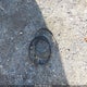 5FNYF4H47BB029242 2011 Honda Pilot Ex auction photo thumbnail 12