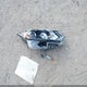 JN1BJ1CV9LW547209 2020 Nissan Rogue Sport S Fwd Xtronic Cvt auction photo thumbnail 12