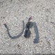 KMHDU46D68U583780 2008 Hyundai Elantra Gls/Se auction photo thumbnail 12