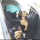 YV4M12RC4S1182920 2025 Volvo Xc60 B5 Plus auction photo thumbnail 5