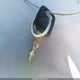 JH2MC13039K505209 2009 Honda Cmx250 C auction photo thumbnail 11