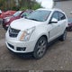 3GYFNEE33CS591542 2012 Cadillac Srx Performance Collection auction photo thumbnail 2