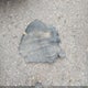1G1ZD5ST9NF113233 2022 Chevrolet Malibu Lt auction photo thumbnail 12