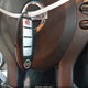 1N4AL2AP8AN566307 2010 Nissan Altima 2.5 S auction photo thumbnail 11