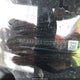 7MUCAAAG6RV076303 2024 Toyota Corolla Cross Le auction photo thumbnail 9