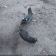 5XYKT4A19BG033462 2011 Kia Sorento Lx auction photo thumbnail 12