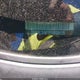 1N4AL3AP1FN408419 2015 Nissan Altima 2.5 S auction photo thumbnail 17