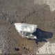 2T3W1RFV4LC044471 2020 Toyota Rav4 Xle auction photo thumbnail 12