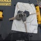 1HGCG5648YA044867 2000 Honda Accord 2.3 Lx auction photo thumbnail 11