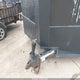 53FBE2429JF041890 2018 Covered Wagon Traile 24 Enclosed Trailer auction photo thumbnail 7