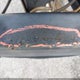 4X4TSVZ26CL020971 2012 Forest River Surveyor auction photo thumbnail 9