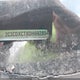 2C3CDXCT8DH692854 2013 Dodge Charger R/T Plus auction photo thumbnail 9