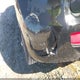 KNDJT2A22A7176256 2010 Kia Soul + auction photo thumbnail 6