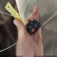4T1BF3EK6AU025901 2010 Toyota Camry Xle auction photo thumbnail 11