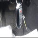 JN1BJ0RR4HM412498 2017 Infiniti Qx50 auction photo thumbnail 11