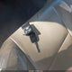 1FMNU43S03EA92003 2003 Ford Excursion Limited auction photo thumbnail 11