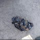 SHHFK7H32KU413018 2019 Honda Civic Lx auction photo thumbnail 12