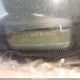 1FTCR10C6WUA00203 1998 Ford Ranger Splash/Xl/Xlt auction photo thumbnail 9