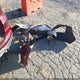 2HKRM3H54GH521572 2016 Honda Cr-V Ex auction photo thumbnail 12