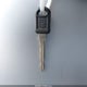 2GCEC19T451245377 2005 Chevrolet Silverado 1500 Ls auction photo thumbnail 11