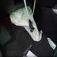 5J8YD4H31KL027532 2019 Acura Mdx Standard auction photo thumbnail 11