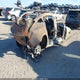5YJ3E1EAXMF083708 2021 Tesla Model 3 Standard Range Plus Rear-Wheel Drive auction photo thumbnail 4