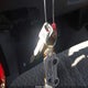 2FTZF1726WCA70395 1998 Ford F-150 Standard/Xl/Xlt auction photo thumbnail 11