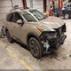 JN8BT3BB0RW445126 2024 Nissan Rogue Sv Intelligent Awd auction photo thumbnail 1