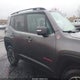 ZACCJBCB0HPE50577 2017 Jeep Renegade Trailhawk 4X4 auction photo thumbnail 13