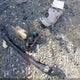 3TMLU4EN2AM043993 2010 Toyota Tacoma Base V6 auction photo thumbnail 12