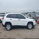 1C4PJLAB4EW223742 2014 Jeep Cherokee Sport auction photo thumbnail 12