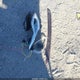 KMHEC4A40DA096939 2013 Hyundai Sonata Hybrid Limited auction photo thumbnail 12