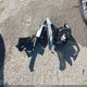 3GNAXTEG5TL137828 2026 Chevrolet Equinox Awd Rs auction photo thumbnail 12