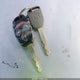 5FNYF38499B016500 2009 Honda Pilot Ex auction photo thumbnail 11