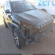1C4PJMBS3HW639175 2017 Jeep Cherokee Trailhawk 4X4 auction photo thumbnail 1