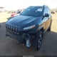 1C4PJMBS3HW639175 2017 Jeep Cherokee Trailhawk 4X4 auction photo thumbnail 2