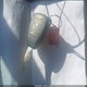 1D4GP45R95B401909 2005 Dodge Caravan Sxt auction photo thumbnail 11