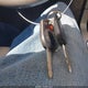 2FMGK5CC8BBD17968 2011 Ford Flex Sel auction photo thumbnail 11