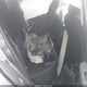 3N1AB8CV2SY282027 2025 Nissan Sentra Sv auction photo thumbnail 8