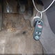 1HGCG55621A094320 2001 Honda Accord 2.3 Ex auction photo thumbnail 11