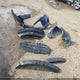 5YFBURHE8KP943330 2019 Toyota Corolla Le auction photo thumbnail 12