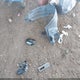 2T1BURHE8GC721300 2016 Toyota Corolla Le auction photo thumbnail 12