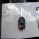 1FMCU9GD6HUC71255 2017 Ford Escape Se auction photo thumbnail 11