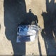 KNAG64J79S5281539 2025 Kia K5 Gt-Line auction photo thumbnail 12