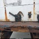 1HTMKAAN37H355075 2007 International 4000 4400 auction photo thumbnail 7