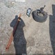 5TEUU42N67Z334369 2007 Toyota Tacoma Base V6 auction photo thumbnail 12