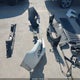3TMCZ5ANXKM281704 2019 Toyota Tacoma Trd Off Road auction photo thumbnail 21
