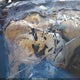 6G2VX12U56L521253 2006 Pontiac Gto auction photo thumbnail 7