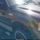 1FTRW12W48KC78431 2008 Ford F-150 60Th Anniversary/Fx2/Xl/Xlt auction photo thumbnail 6
