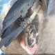 1D7HW42K45S159032 2005 Dodge Dakota Slt auction photo thumbnail 15